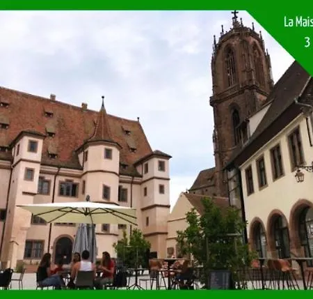 Aux Plaisirs D'Alsace Centre Historique Appartement Sélestat Buitenkant foto