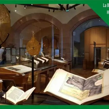 Aux Plaisirs D'Alsace Centre Historique Appartement Sélestat Buitenkant foto