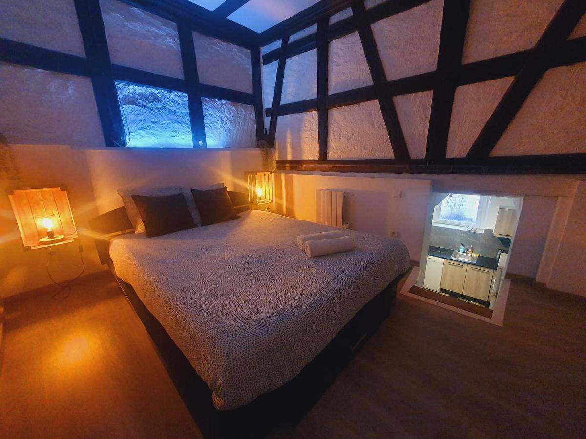 Aux Plaisirs D'alsace Centre Historique Apartment *